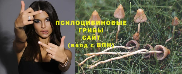 мет Нягань