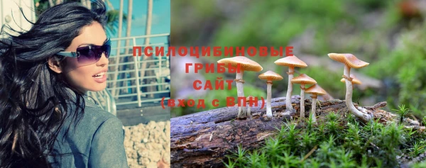 PSILOCYBIN Няндома