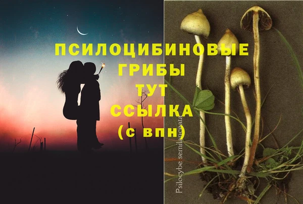 не бодяженный Болохово