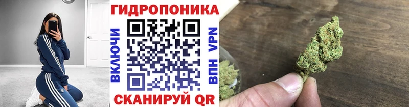 Канабис White Widow  MEGA ТОР  Кирсанов 